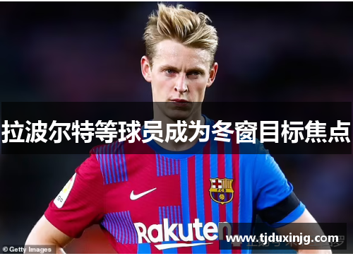 拉波尔特等球员成为冬窗目标焦点